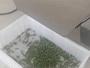 Овощерезательные машины двухголовые DQC101