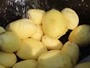 Картофелечистка