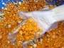 Машина для нарезки замороженного бескостного мяса