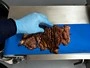 Машина для нарезки вареного мяса на слайсы