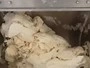 Тестомес горизонтальный (45 л, 90 л, 150 л)